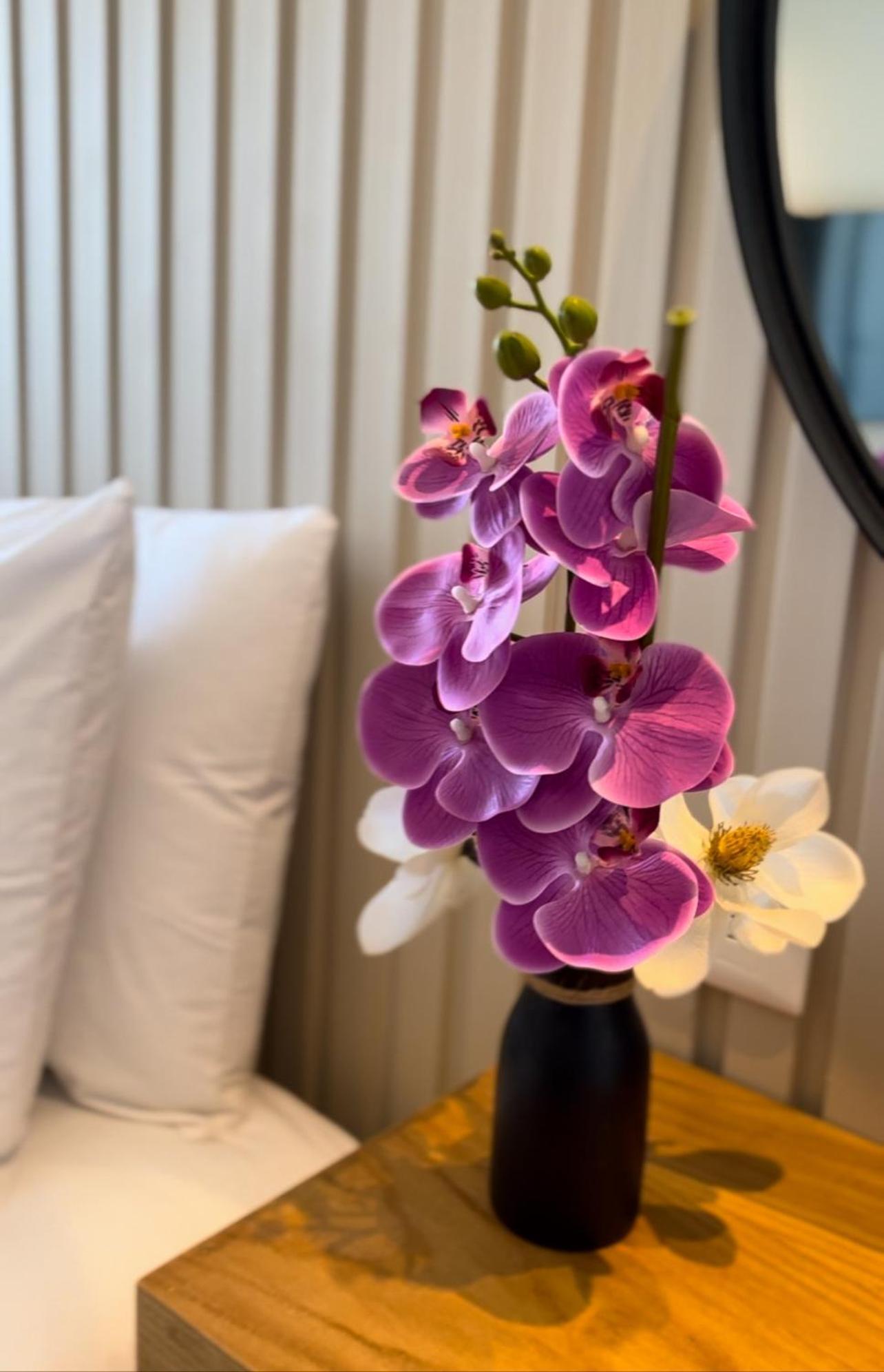 Coralia Boutique Hotel קוזומל מראה חיצוני תמונה